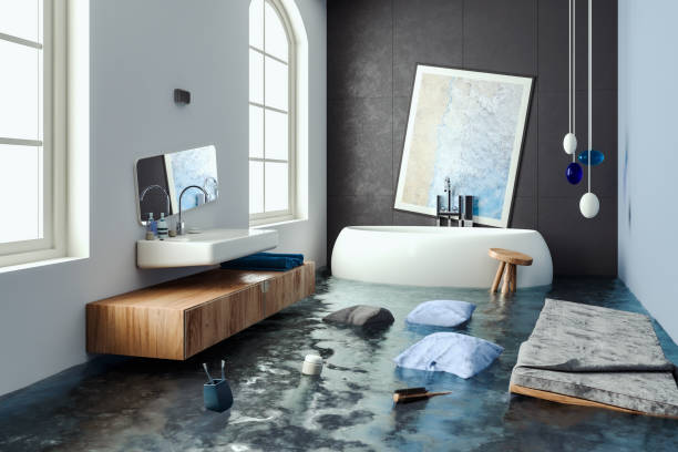 Best Water damage restoration specialists  in Brazoria, TX