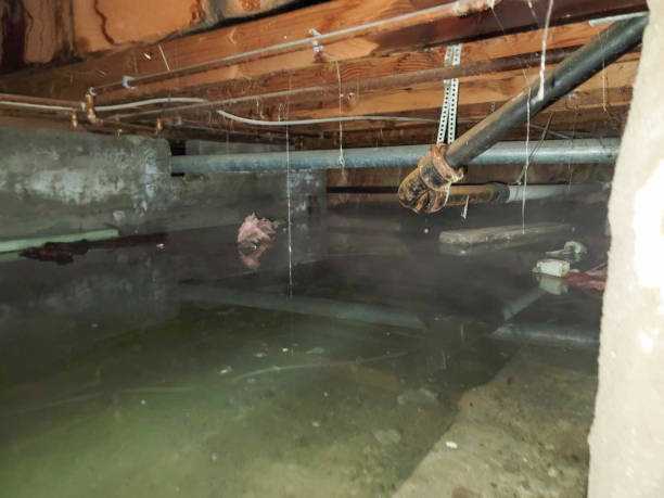 Water damage restoration insurance claims in Brazoria, TX