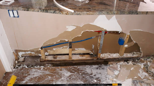 Best Ceiling water damage repair  in Brazoria, TX