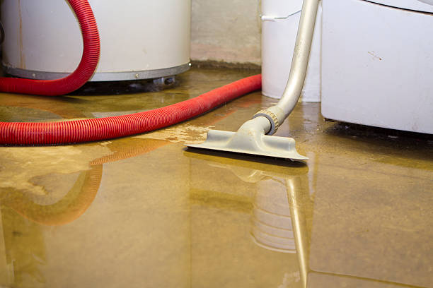 Best Basement water damage restoration  in Brazoria, TX
