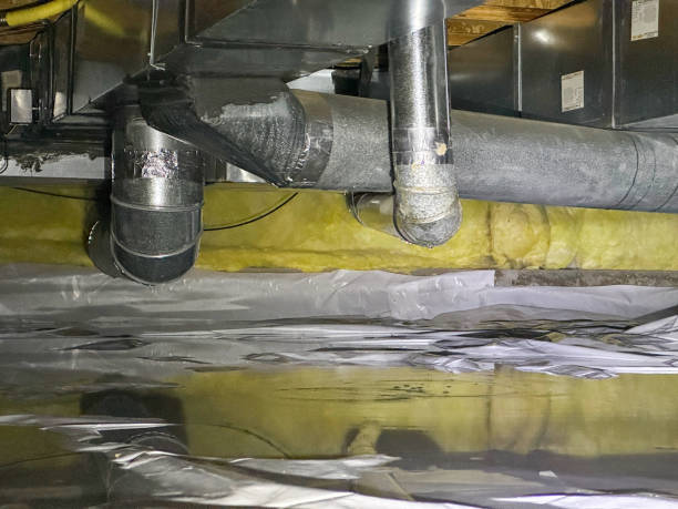 Best Flooded house restoration  in Brazoria, TX