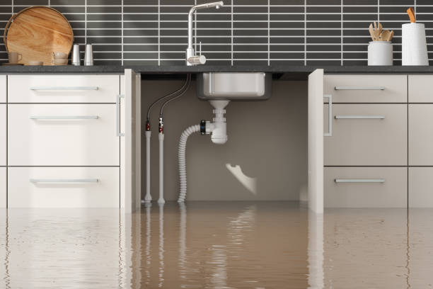Best Carpet water damage restoration  in Brazoria, TX