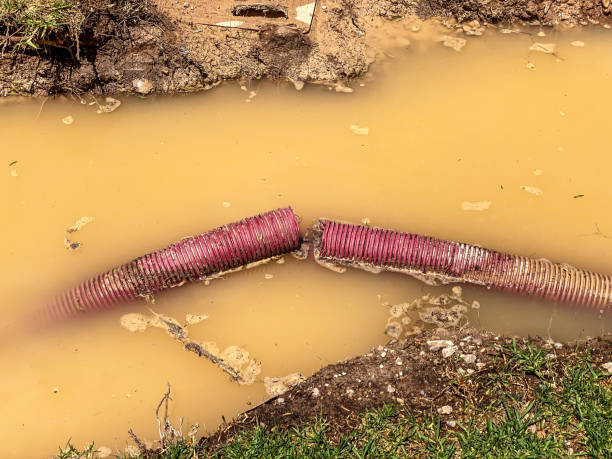 Best 24/7 water damage repair  in Brazoria, TX