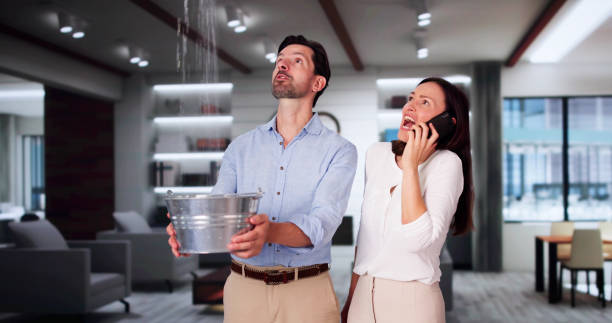 Best Professional water damage repair  in Brazoria, TX
