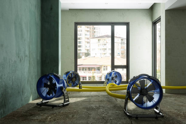 Best Water damage contractors near me  in Brazoria, TX