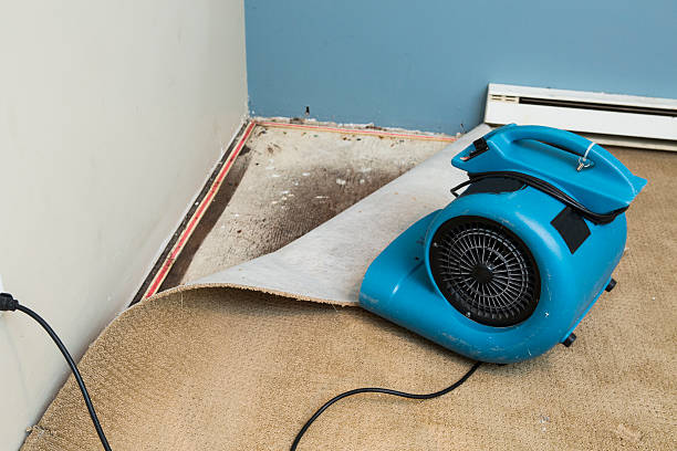 Best Fire Damage Restoration  in Brazoria, TX